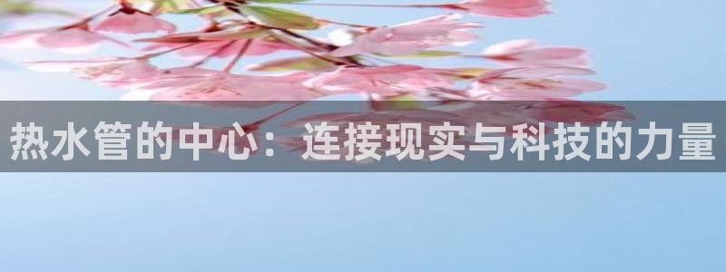威九国际取款