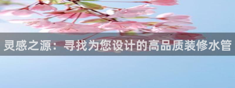 威九国际免费进入