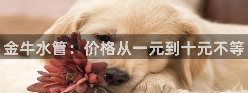 威九国际最新网站