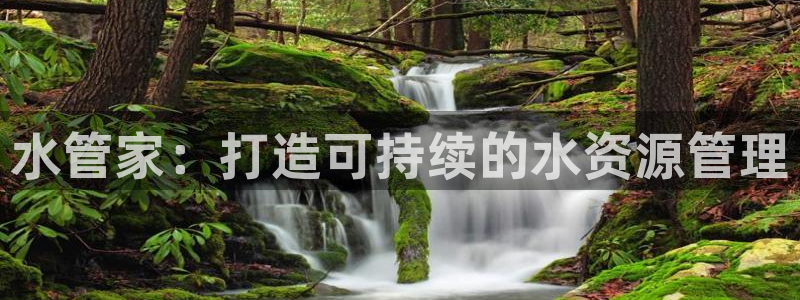 威九国际韩国