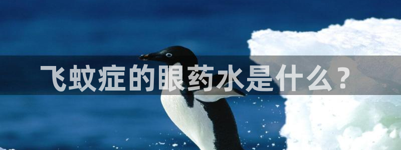 威九国际空降视频