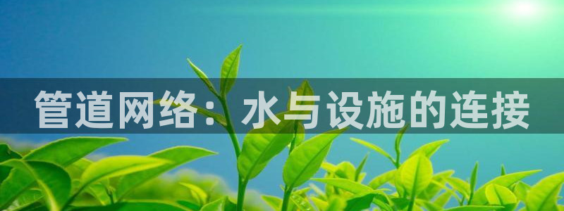 威九国际app客服电话多少
