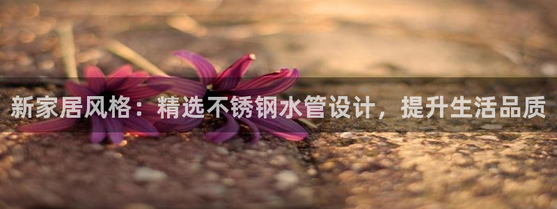 威九国际网站怎么样知乎