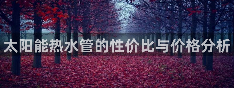 威九国际免费版