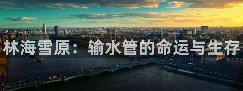66m威九国际精选
