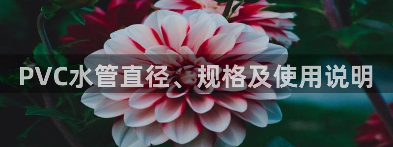 威九国际成长模式怎么样