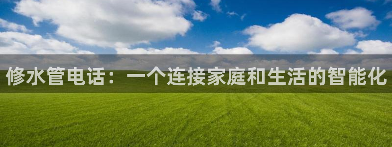 威九国际抡里