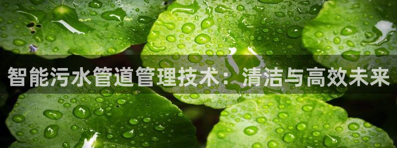 威九国际可以赚到钱