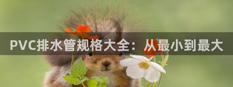 威九国际正规吗