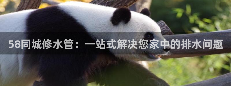 威九国际真人游戏