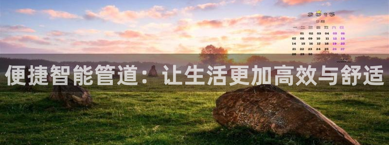 威九国际小说