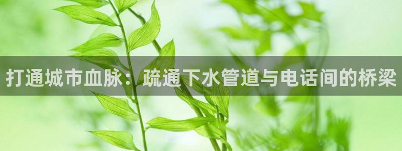 威九国际娜娜