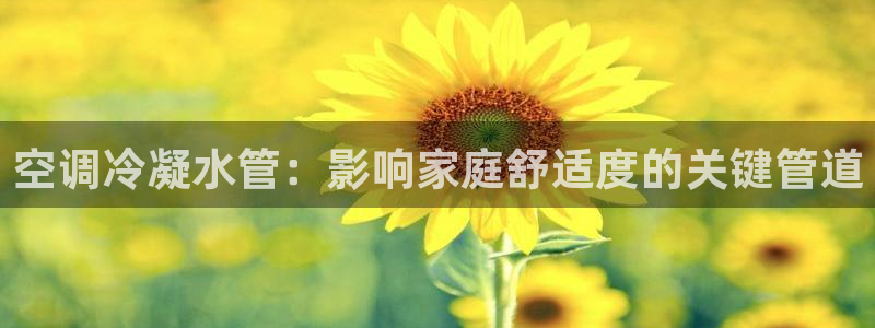 威九国际人民网