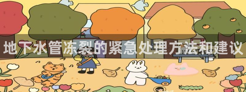 威九国际的金融服务有哪些