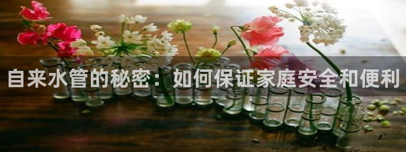 威九国际cm78