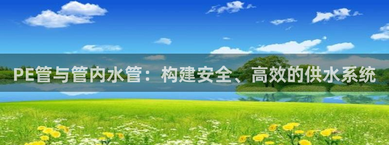 威九国际app网站安全吗