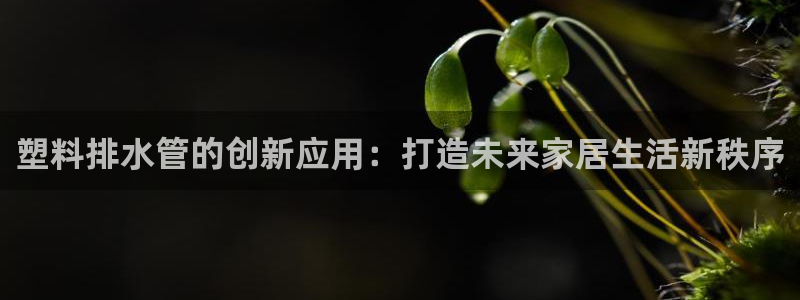 威九国际78mb下载