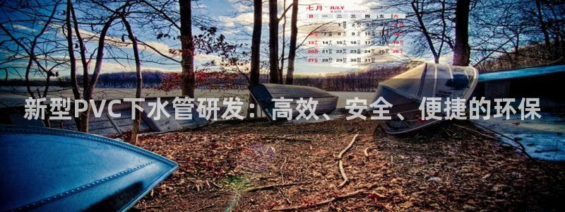 威九国际的女主