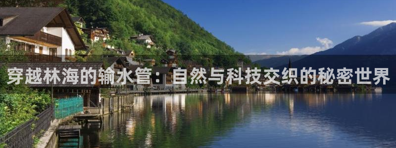 威九国际网站怎么样