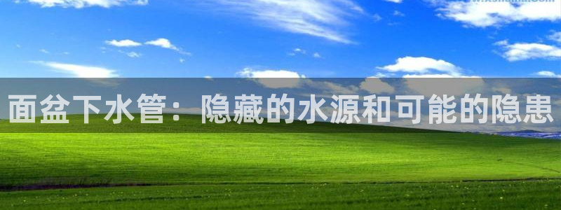 威九国际女儿的朋友