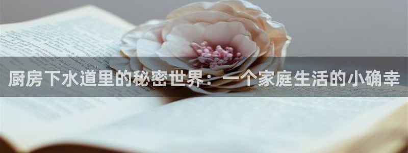 威九国际app网站安全吗