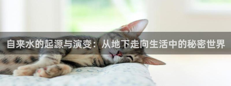 威九国际官方下载