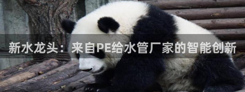 威九国际app大全下载安装