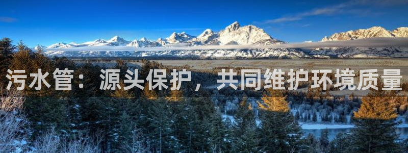 威九国际女主名字