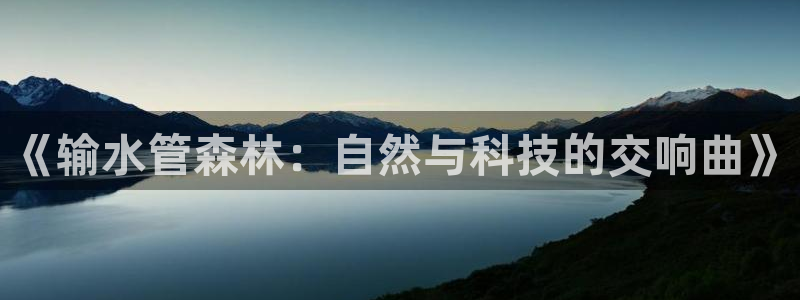 78mapp威九国际官网版