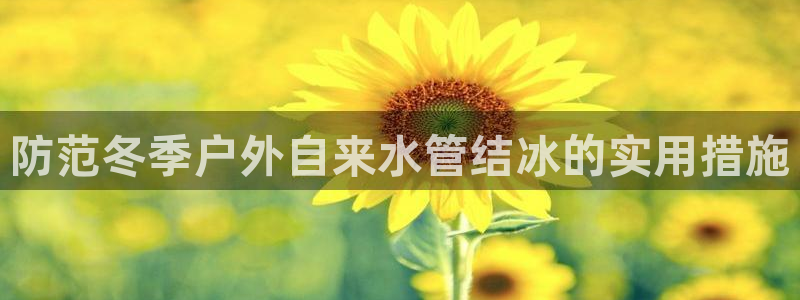 威九国际电子有限公司