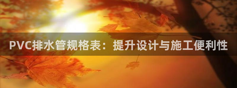 威九国际AN