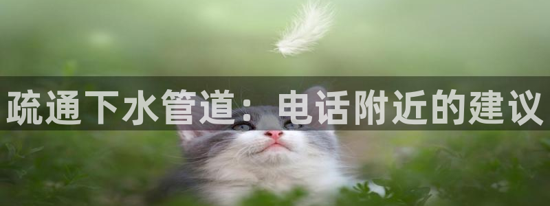 威九国际78mb42- MBA中文