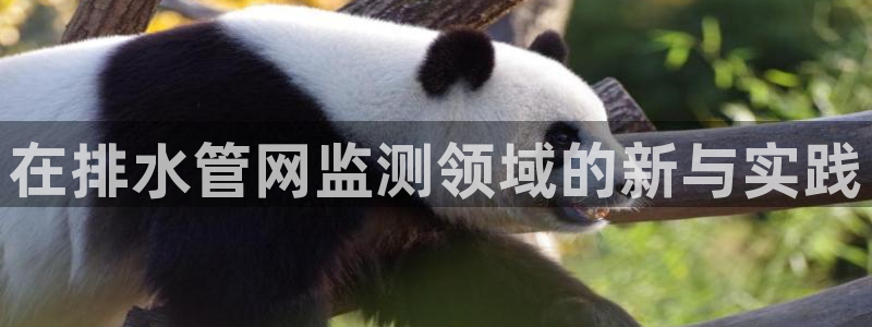 威九国际惠子