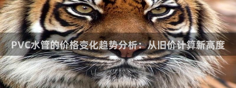 威九国际坑人的嘛