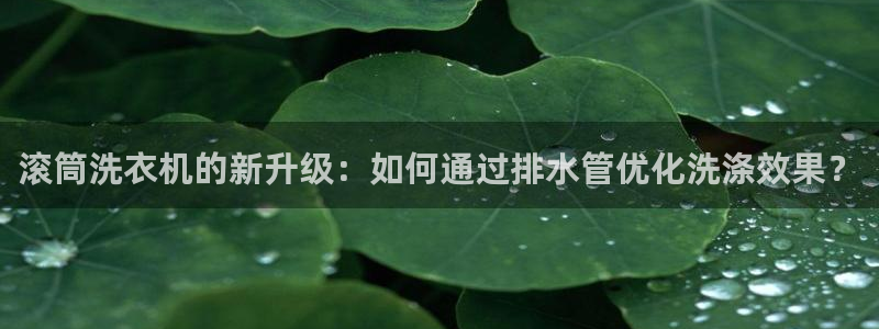 威九国际免费ppt网址