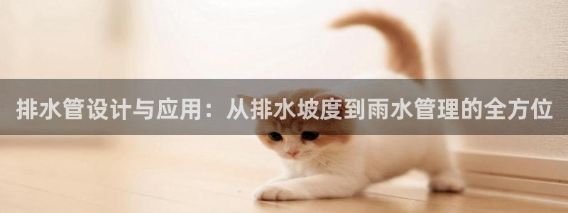 威九国际官方下载