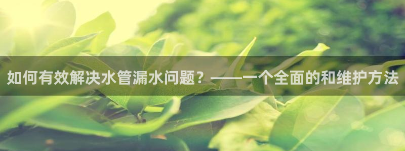 威九国际v9