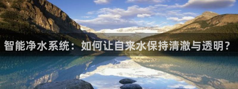 威九国际网站客服电话多少啊