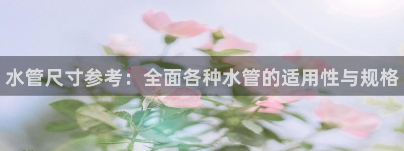 威九国际78m小说
