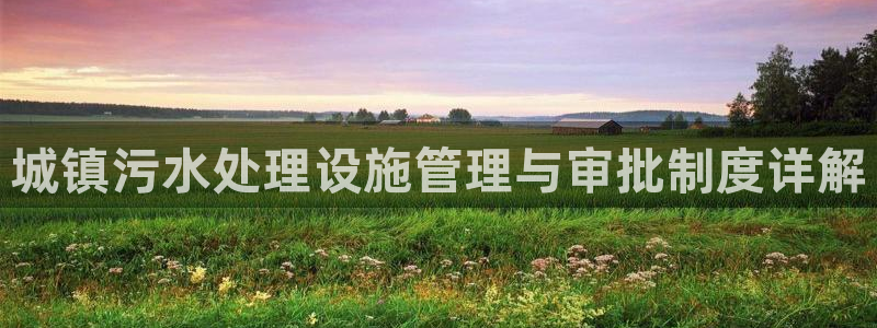 威九国际的女主