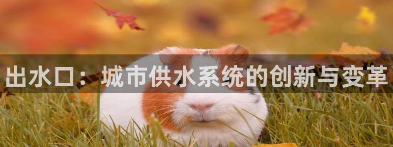 威九国际app网站官网