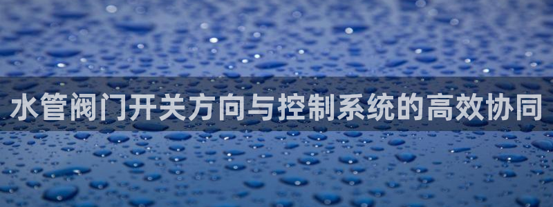 威九国际v18