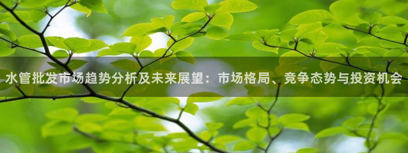 威九国际天美