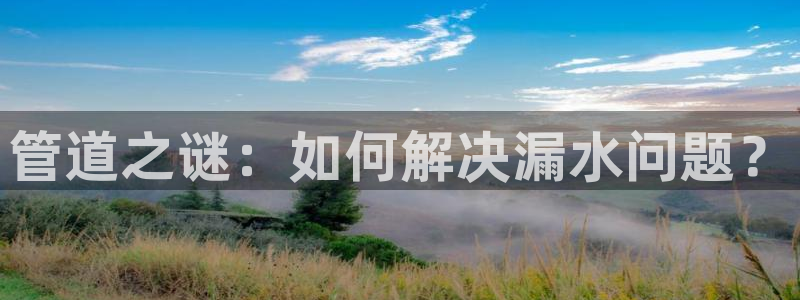 威九国际78m域名