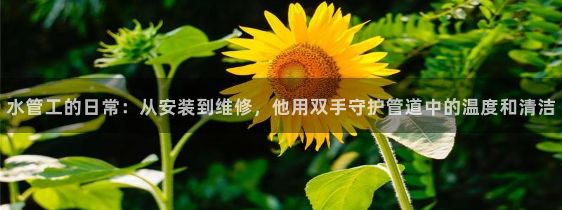 威九国际软件