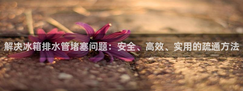 威九国际官网登录入口网址