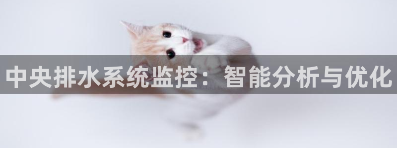 威九国际网站入口官网首页登录