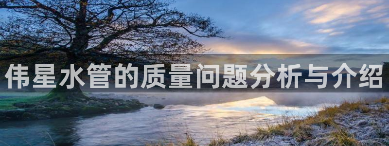 威九国际视频传媒招聘