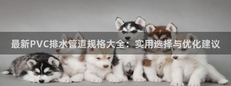 威九国际