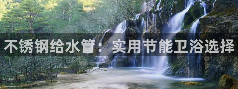 威九国际官方入口官网